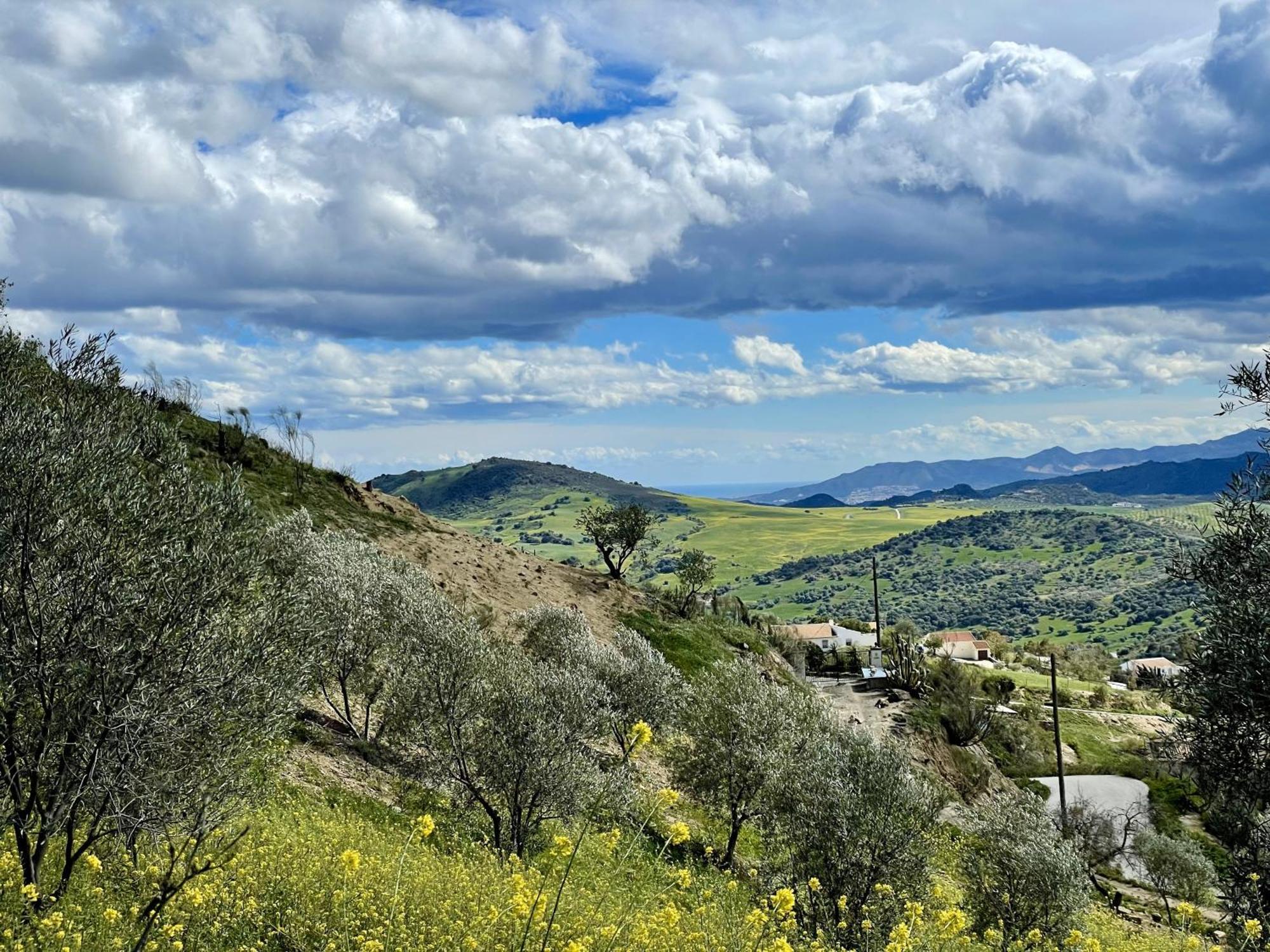 Finca El Sueno Andaluz Villanueva de la Concepción エクステリア 写真