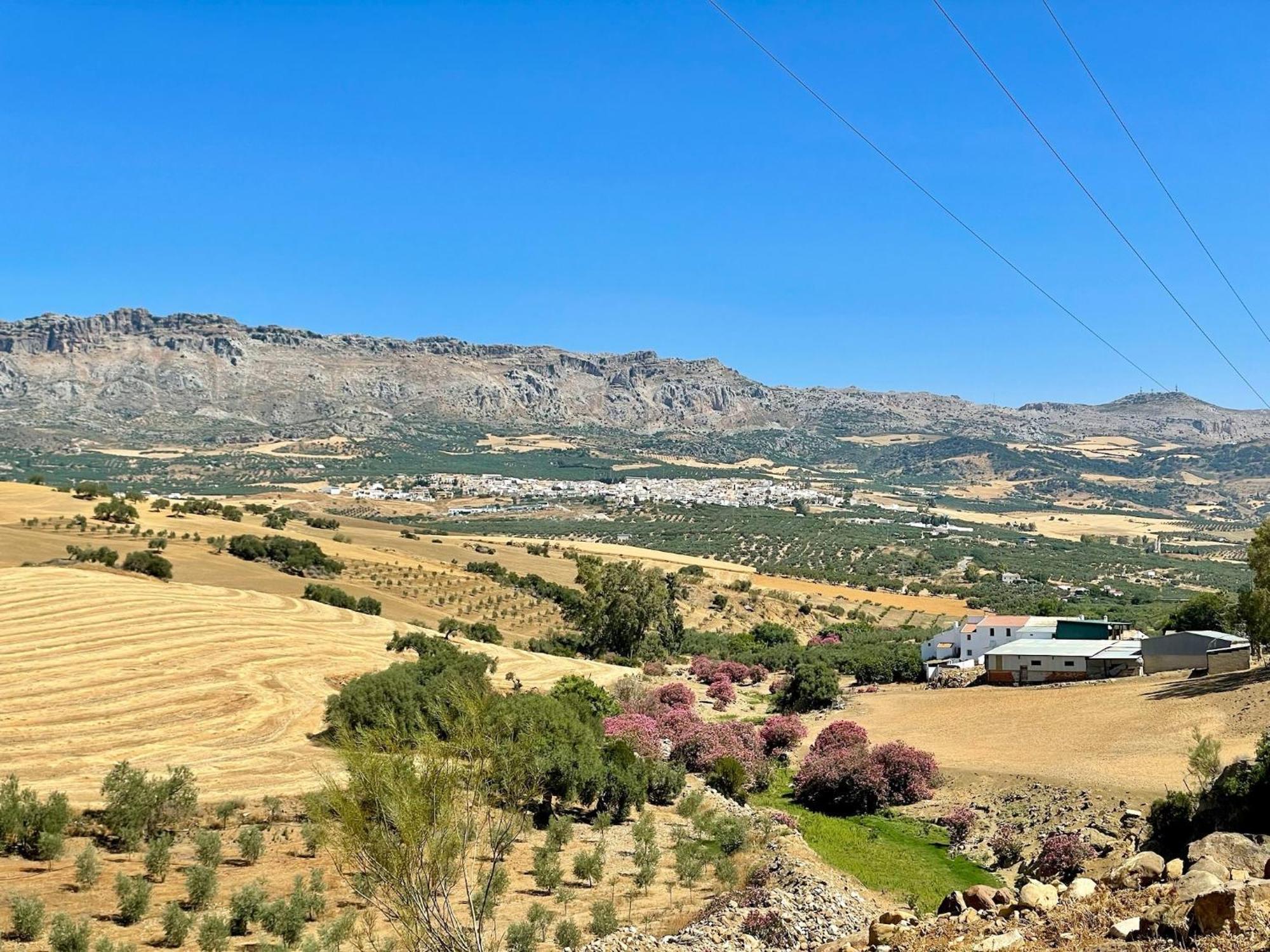 Finca El Sueno Andaluz Villanueva de la Concepción エクステリア 写真