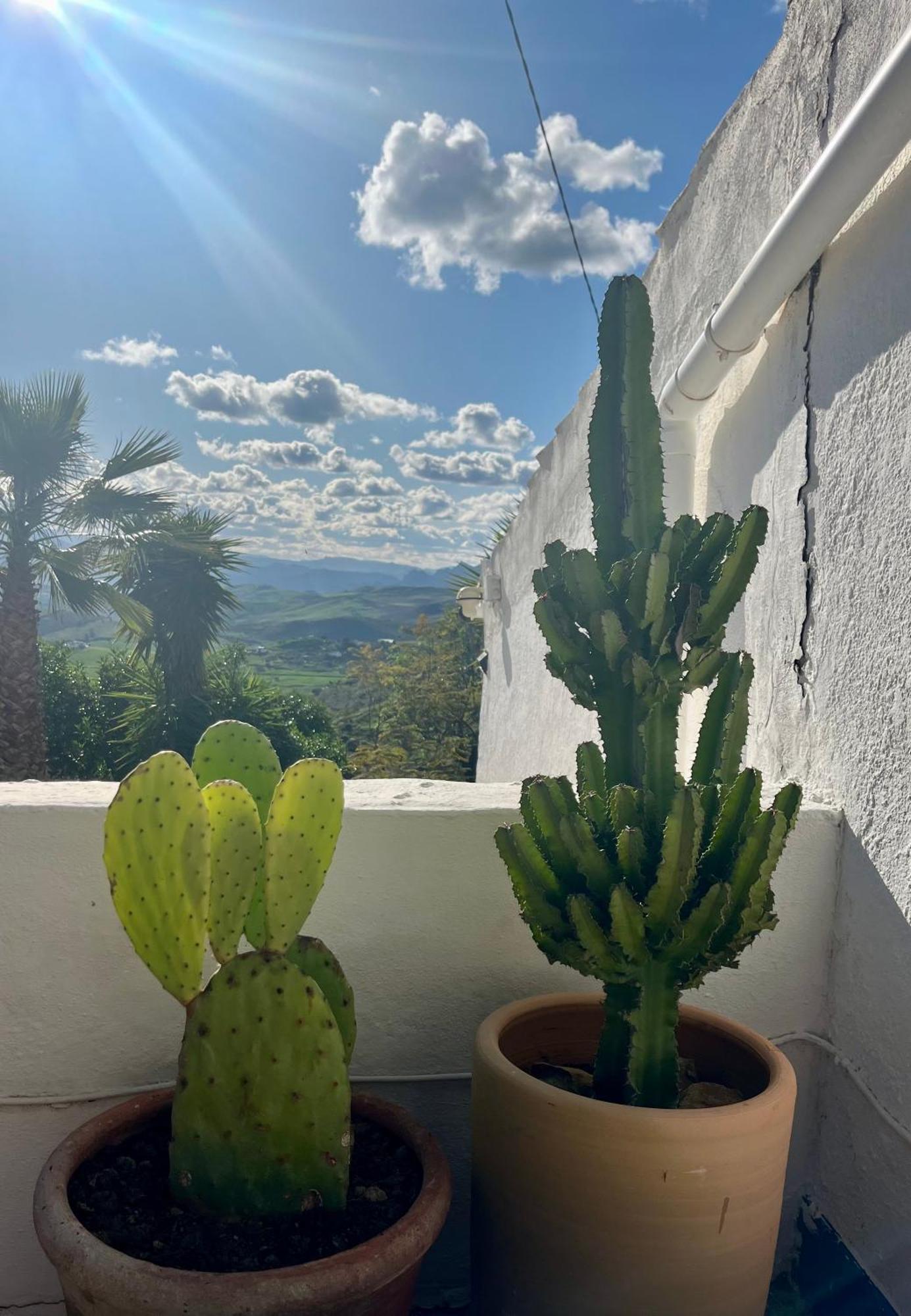 Finca El Sueno Andaluz Villanueva de la Concepción エクステリア 写真